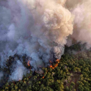 forest-fires-natural-disaster-2022-12-07-01-21-10-utc