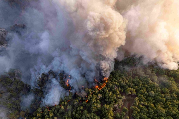 forest-fires-natural-disaster-2022-12-07-01-21-10-utc